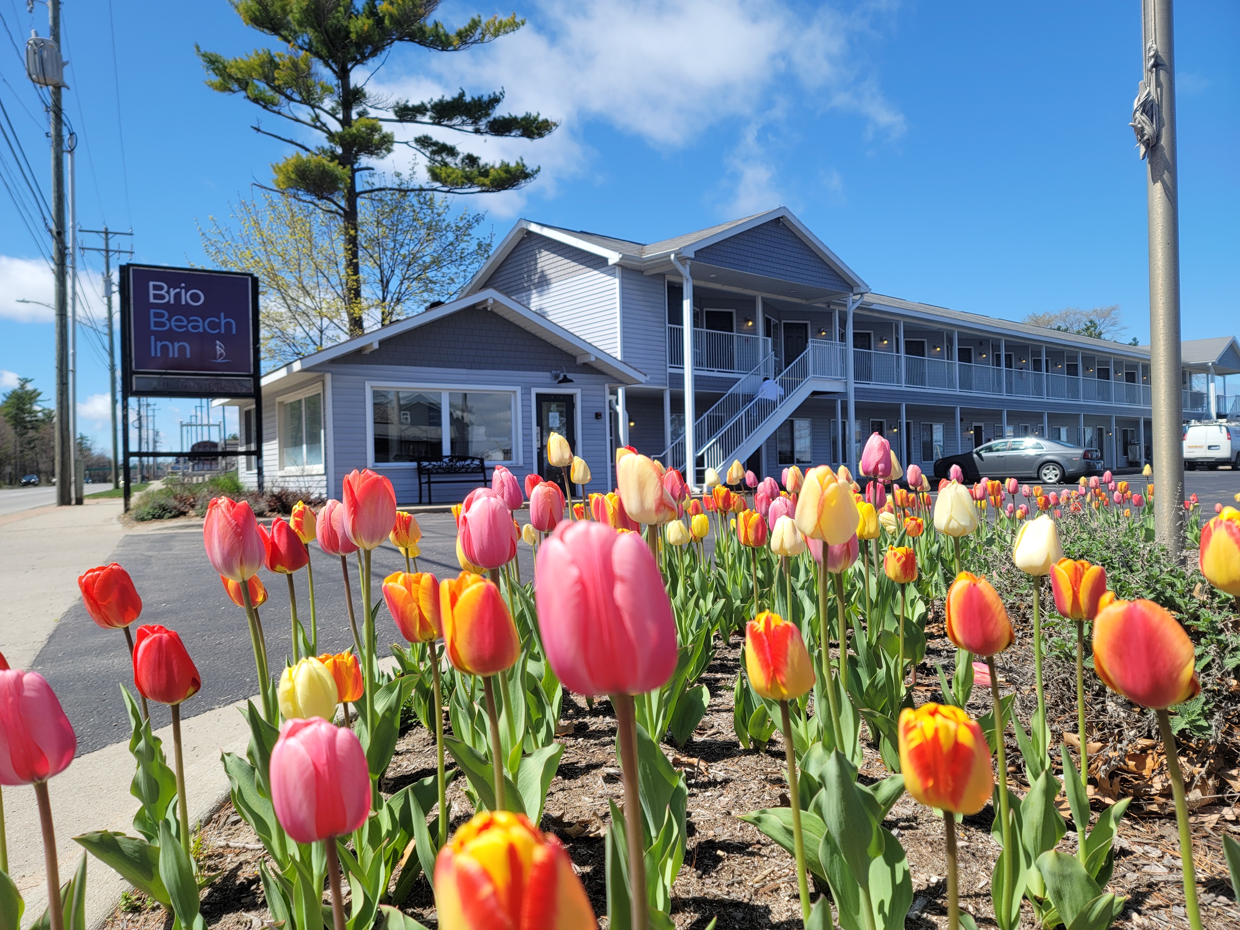 Brio Beach Inn — photo 21 of 26